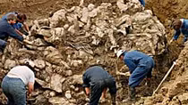 Cuộc săn lùng Karadzic, đồ tể Bosnia