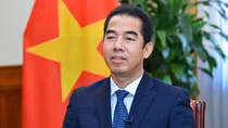 "Chuyến công tác của Thủ tướng Phạm Minh Chính thành công rất tốt đẹp"