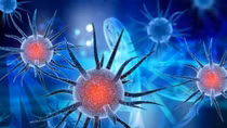 Cuộc chiến với những mầm bệnh: Cần tư duy như một con virus