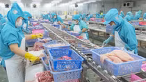 Lao động về quê với bài toán giải quyết việc làm
