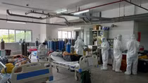 Kiểm tra hoạt động nghiên cứu thực phẩm chức năng Kovir điều trị COVID-19