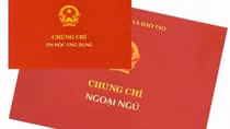Chính thức bãi bỏ tiêu chuẩn về chứng chỉ ngoại ngữ, tin học đối với công chức chuyên ngành hành chính và văn thư