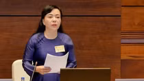 Bộ Chính trị cảnh cáo, miễn nhiệm bà Nguyễn Thị Kim Tiến