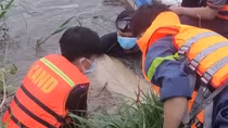 Tìm được thi thể nam công nhân đuối nước thương tâm