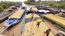 Đề xuất liên kết các tỉnh, thành Nam sông Hậu để phòng, chống dịch