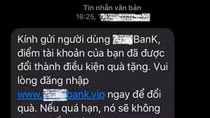 Dồn dập cuộc gọi, tin nhắn mạo danh tổ chức tín dụng để lừa đảo