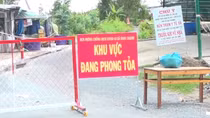Tạm đình chỉ Trạm trưởng Y tế xã do làm lây lan dịch bệnh