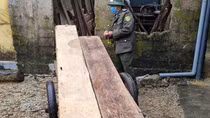 Bị truy đuổi, 5 đối tượng bỏ lại gỗ lậu giữa khe suối để thoát thân