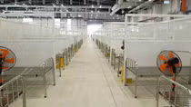 Bình Dương đưa vào hoạt động 2 bệnh viện dã chiến với quy mô 8.300 giường