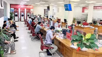Cần phục hồi mạnh mẽ trên con đường mới