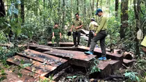 Gian nan “cuộc chiến” bảo vệ rừng ở Tây Nguyên