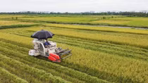 Kiến nghị tháo gỡ khó khăn trong lĩnh vực nông nghiệp
