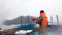 2 tỉnh Phú Yên, Khánh Hòa chủ động phòng, chống cơn bão số 9