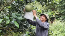 Người cựu chiến binh biến "sỏi đá cũng thành cơm"
