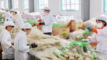 Sớm thực hiện các chính sách giúp doanh nghiệp hồi phục