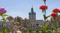 Căn phòng hổ phách của Sa hoàng Romanov