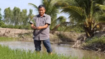 Nông dân có nhiều sáng tạo, làm giàu trên mảnh đất quê hương
