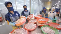 Xuất nhập khẩu khởi sắc