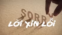 Văn hóa xin lỗi