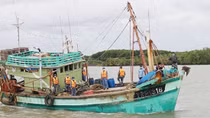 Tăng cường tuần tra, xử lý tàu cá vi phạm quy định “thẻ vàng” IUU