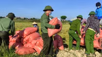 Có một tinh thần Cách mạng tháng Tám giữa những ngày chống dịch COVID-19