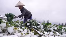Giữa tháng 12, miền Bắc đón đợt rét đậm, rét hại đầu tiên