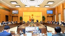 Thường vụ Quốc hội giải thích hành vi cố ý vượt qua cảnh báo, mã truy cập, tường lửa,