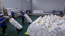 Hà Nội gửi tặng TP Hồ Chí Minh 5.000 tấn gạo, Bình Dương 1.000 tấn
