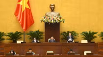 Hạn chế việc sử dụng đất lúa để xây dựng các khu công nghiệp