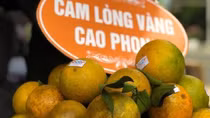 Cam Hà Giang, Cao Phong lên sàn thương mại điện tử