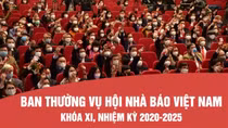 INFOGRAPHIC: Ban Thường vụ Hội Nhà báo Việt Nam khóa XI, nhiệm kỳ 2020-2025