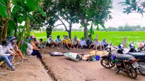 Xoá trường gà quy mô lớn giữa cánh đồng