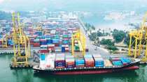 Năm 2021, hoạt động xuất, nhập khẩu của Đà Nẵng duy trì đà tăng cao