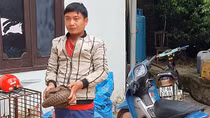 Phi vụ vận chuyển tê tê bất thành