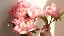 Mẹ và bến sông quê