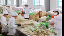 88 doanh nghiệp Việt Nam được sản xuất thực phẩm xuất khẩu sang Trung Quốc