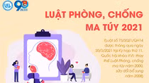 Quy định chi tiết và hướng dẫn thi hành một số điều của Luật Phòng, chống ma túy