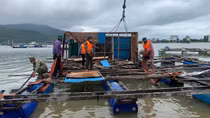 Đà Nẵng kiên quyết chấm dứt việc nuôi trồng thủy sản trái phép