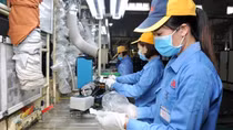 Mở cửa phải nhịp nhàng, đồng bộ để doanh nghiệp hồi phục