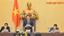 Có thể tổ chức kỳ họp bất thường giải quyết những vấn đề cấp thiết cho quốc kế dân sinh