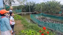 Cần Thơ thu hồi dự án khu du lịch hơn 1.500 tỷ đồng ở Cồn Sơn