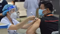 Thủ tướng yêu cầu Bộ Y tế đàm phán mua vaccine do 4 hiệp hội đề xuất