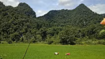 Bình yên một thoáng Cà Xèng