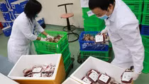 Chuyển 2.000 đơn vị máu vào TP Hồ Chí Minh