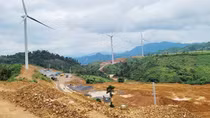 Ruộng lúa, hoa màu bị bồi lấp do thi công công trình điện gió
