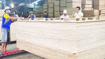 Mạnh tay chống gian lận xuất xứ mặt hàng gỗ