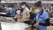 EVFTA - Sức bật cho hợp tác thương mại đầu tư trong bối cảnh “bình thường mới”