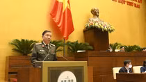 Xử lý nghiêm việc “bảo kê”, bao che cho hoạt động phạm tội kinh tế, buôn lậu
