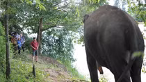 Đắk Lắk hướng tới bỏ loại hình du lịch cưỡi voi