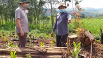 Chủ tịch tỉnh Phú Yên kiểm tra, chỉ đạo xử lý vụ phá rừng phòng hộ đầu nguồn sông Trà Bương